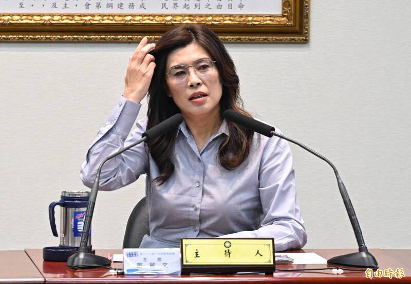 認了訪美向民主基金會申請550萬 鄭麗文:主要經費來源