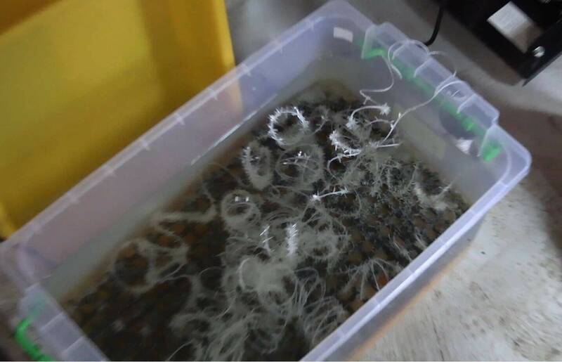 依托咪酯提列一級毒品! 法務部開毒審會審議 未來運輸、販賣可判死刑