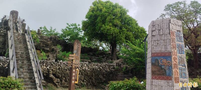 終於等到「黃金雨」!恆春老鐵色樹苦候甘霖 花期大亂