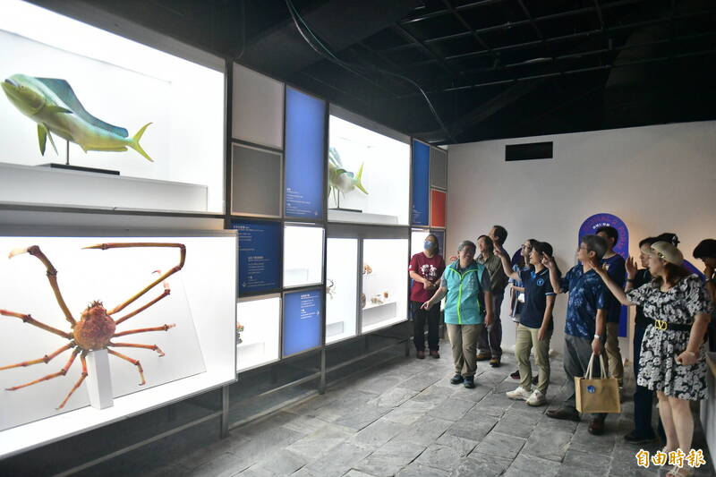 海生館「海洋性別變奏曲」特展 揭密生物雌雄轉換生存智慧
