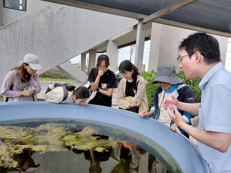 成龍濕地孕育豐富生態,包含台灣特有種「成龍青鱂」,日前首度族群清查,約有3630隻。(林保署南投分署提供)