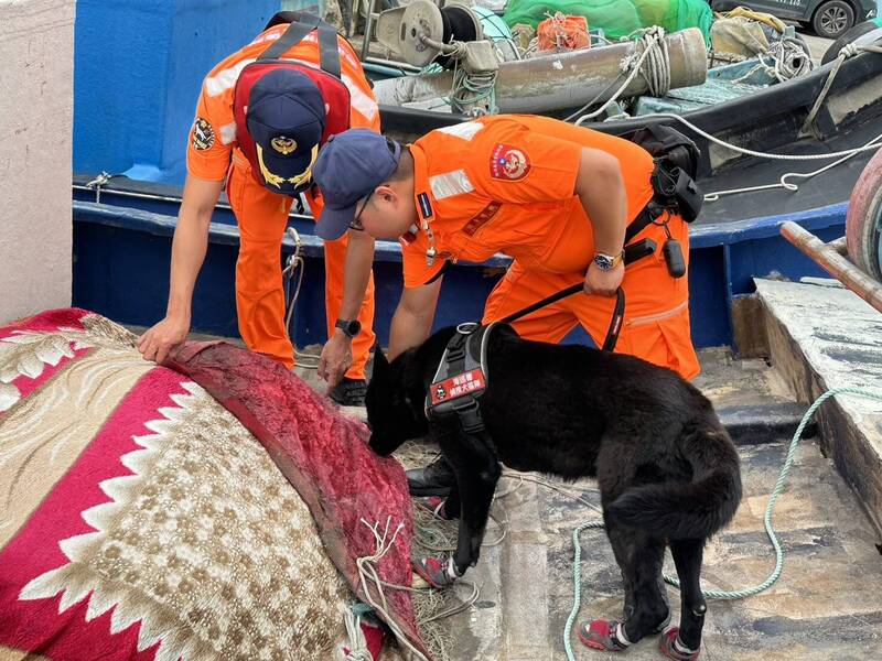 海巡署北部分署陸海空大搜查 端節前夕3港同步威力掃蕩