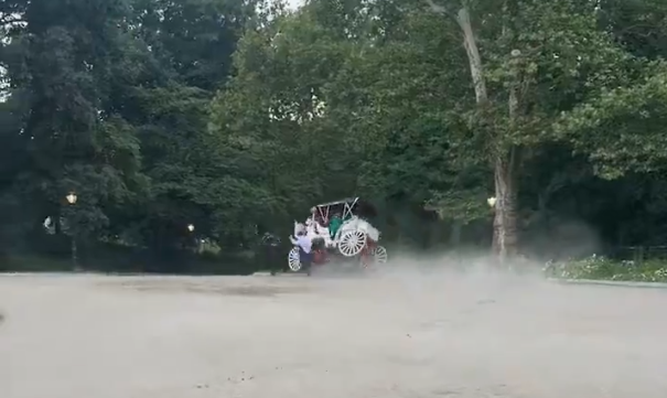 遭失控馬匹甩下馬車 18歲少年於紐約中央公園身亡