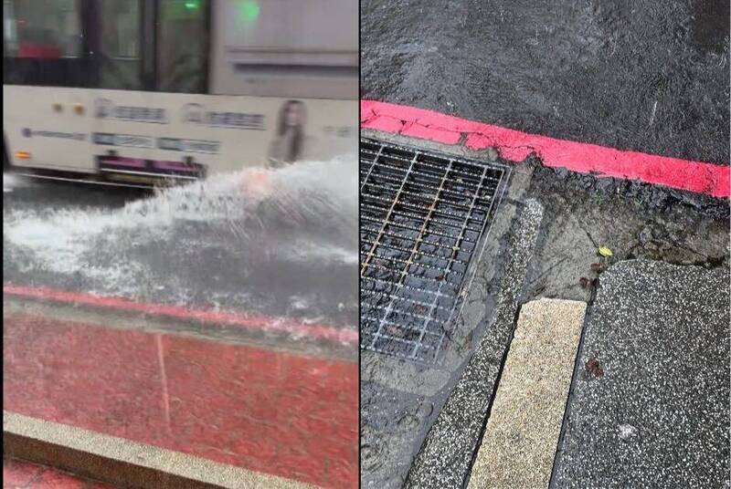 雷雨炸永和!水淹過腳踝、小強大逃亡畫面曝