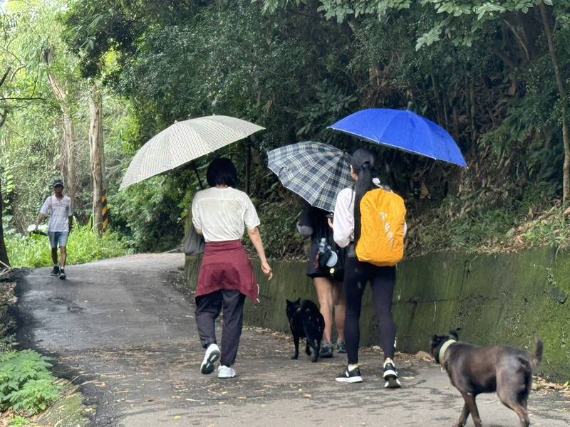 下雨天能不能爬大坑步道?網一問掀論戰 山友一句話全場點頭
