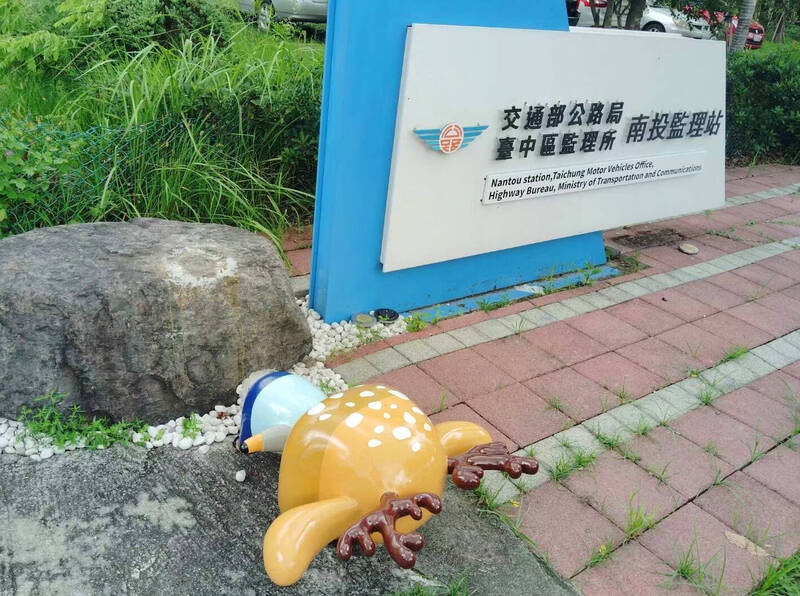 「光明鹿」最近撲（仆）街+五體投地，暫時下線進廠醫美了。（南投監理站提供）