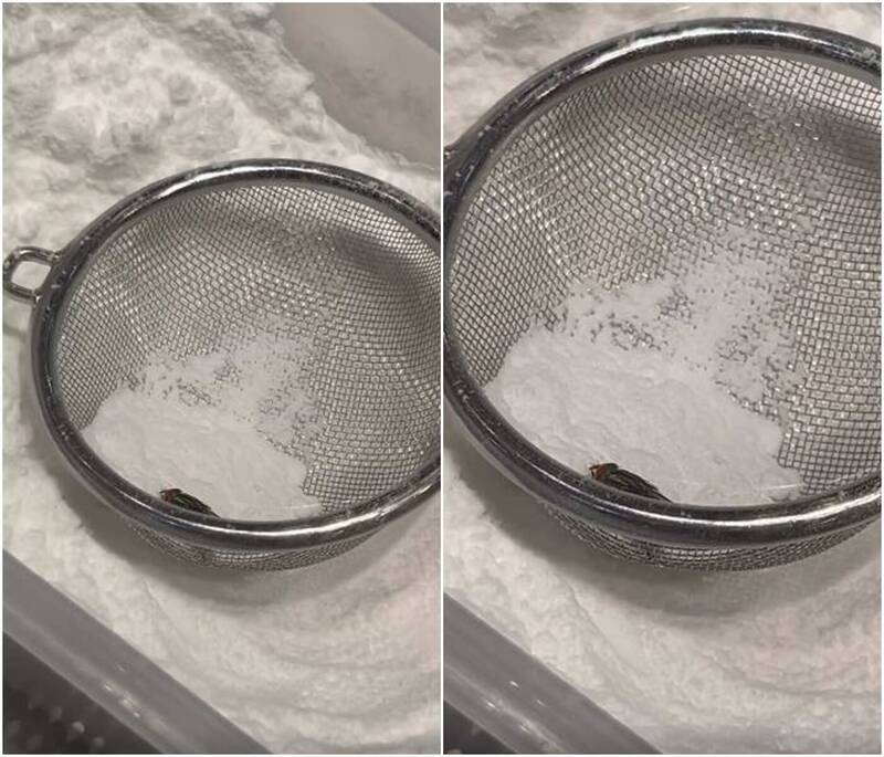 泡芙爺爺爆食安危機!網拍到蒼蠅卡糖粉盒 業者回應引網怒