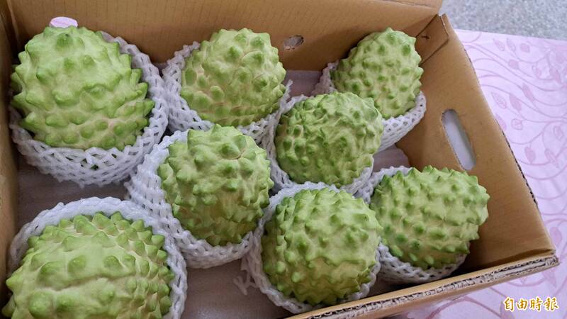 農業部:中國養套殺鳳梨釋迦 應減少高度依賴風險