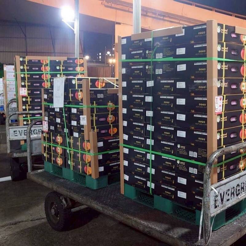 台灣芒果闖法國!1顆飆千元引熱議 蔡英文超開心爆背後努力