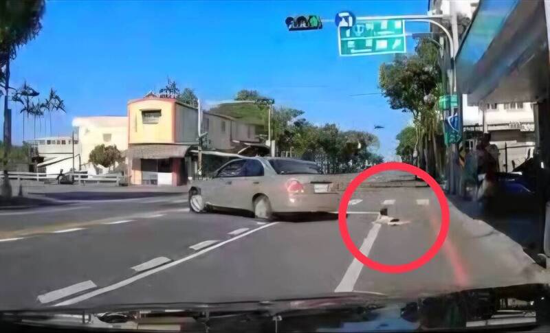 阿姨無照駕車門未關好就起步 4歲外甥女摔出車險遭輾