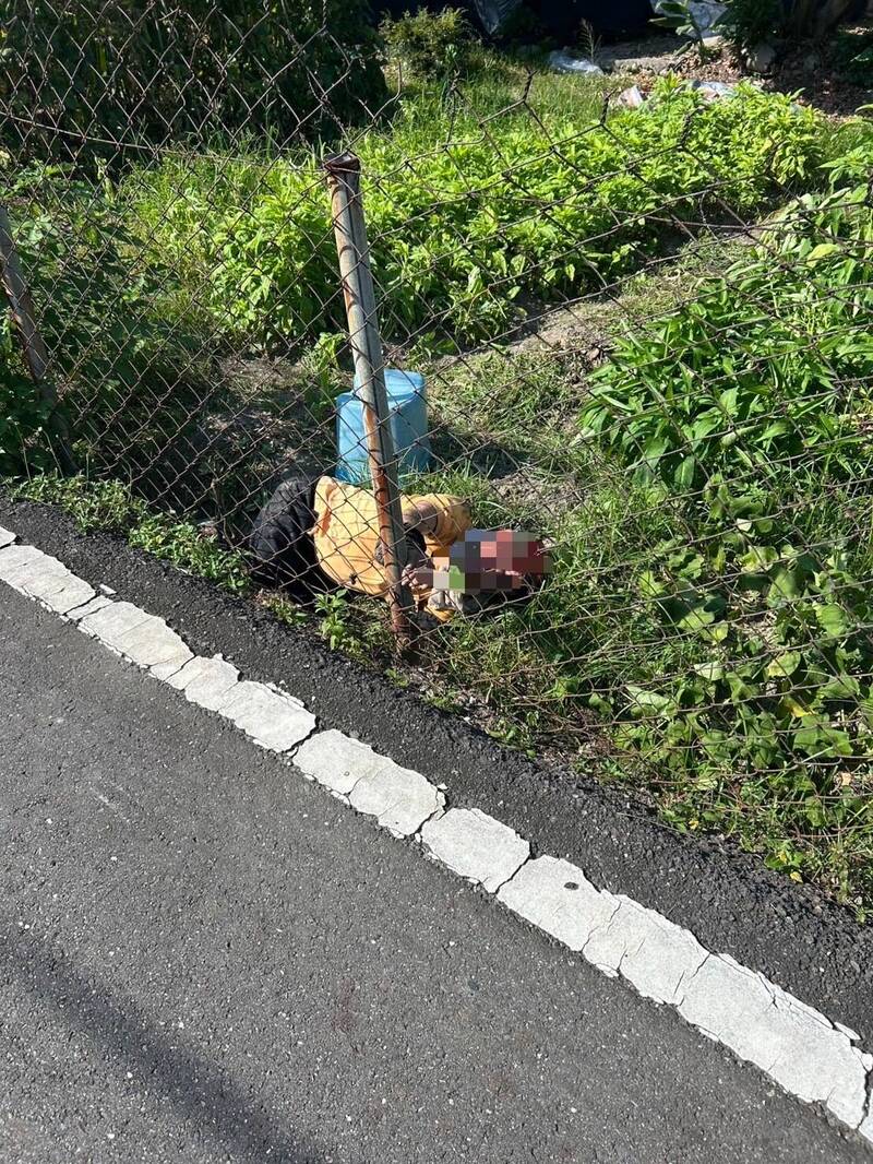 8旬老農菜園酷暑除草熱衰竭 垃圾車隊員發現救命