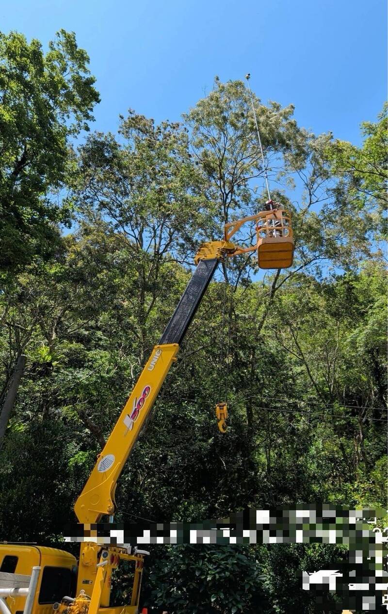 國內頻傳蜂群攻擊 屏縣5、6月捕蜂通報已逾300件