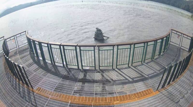 日灌430萬噸水!日月潭蓄水大爆發破9成 九蛙逾半「洗屁屁」