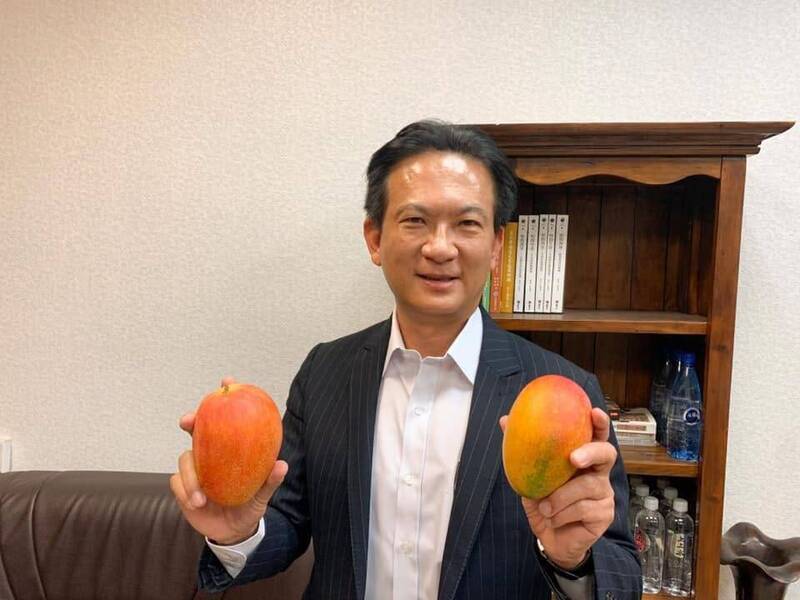 砸140億建冷鏈物流!林俊憲讚台灣芒果遠征歐洲