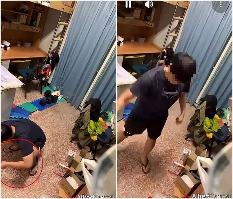 自稱虐鼠男大生千字懺悔文曝光!一句「棍棒教育長大」全網炸鍋
