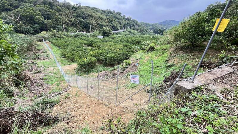 獼猴大軍攻果園、野豬夜襲農地! 苗縣補助農友築防線