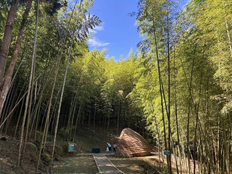 古坑草嶺石壁森林療癒季帶動雲林登山健走觀光。（記者黃淑莉攝）