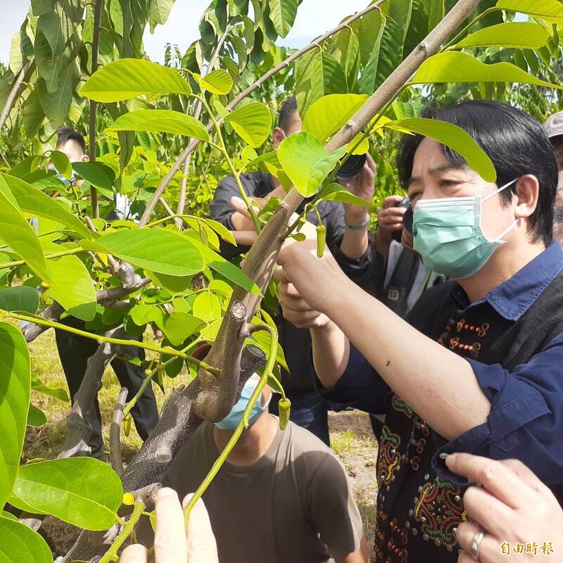 曝賴清德當年如何幫釋迦農 他喊話：別學國民黨恩將仇報畜牲步