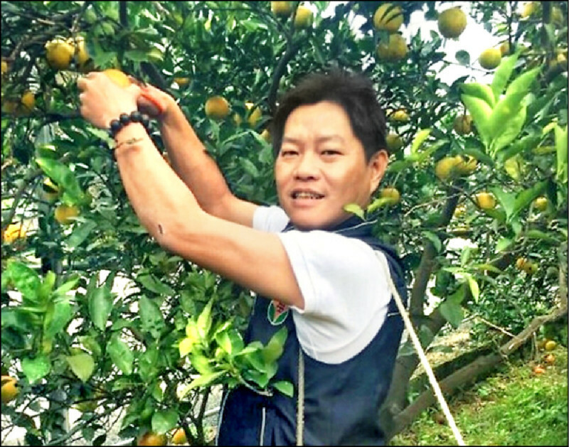 未監控境管 苗栗最貪鄉長棄保潛逃/温志強134罪 二審加重判576年7月
