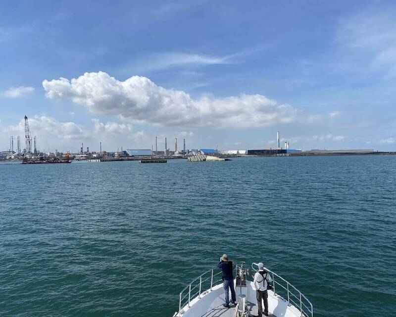 環團質疑政府帶頭破壞台中港白海豚棲地 台灣港務公司:一切依法辦理