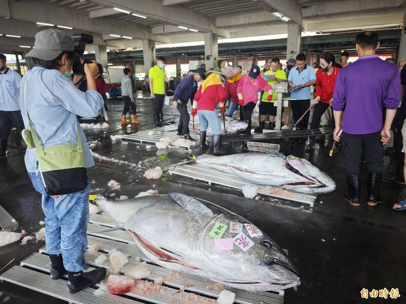 今年黑鮪魚季長達3個月 7/7喊停