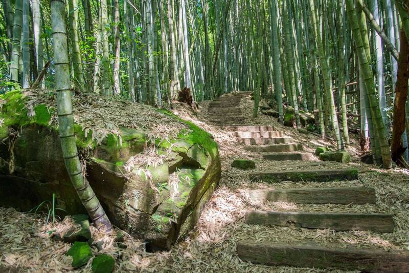 嘉縣石棹步道群茶香療癒 縣府推從森林走到餐桌