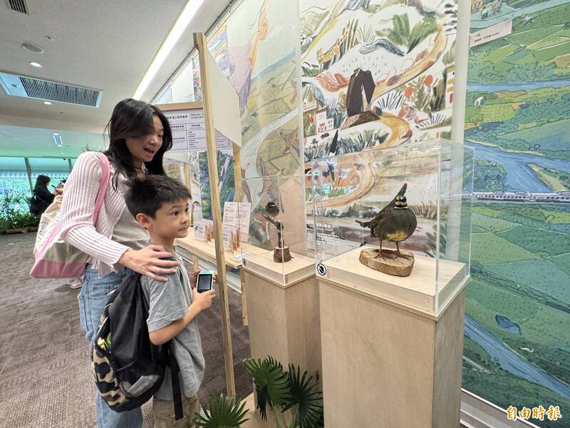 森林搬進圖書館!桃市圖總館「五感山徑」特展 沉浸式體驗生態