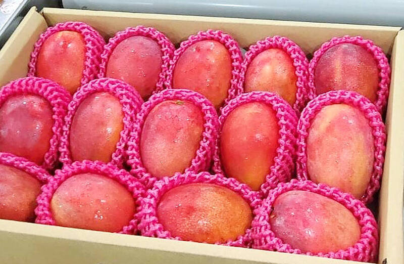 《TAIPEI TIMES》First Tainan-grown fruit shipment arrives in UK