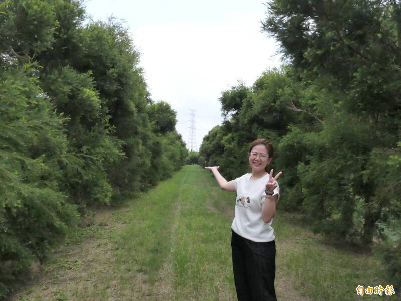 雲林媳婦返鄉種澳洲茶樹 打造有「雲林味」在地精油
