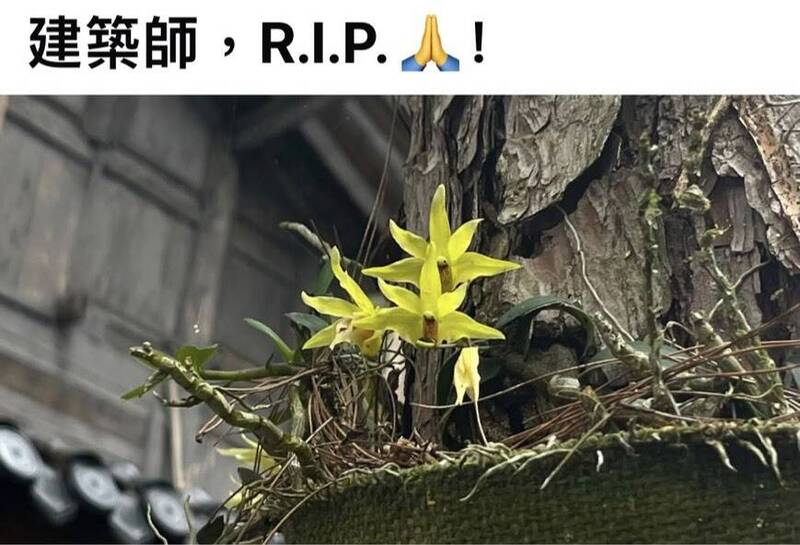 台中知名建築師墜樓亡 臉書湧入「R.I.P」、暖文惹鼻酸