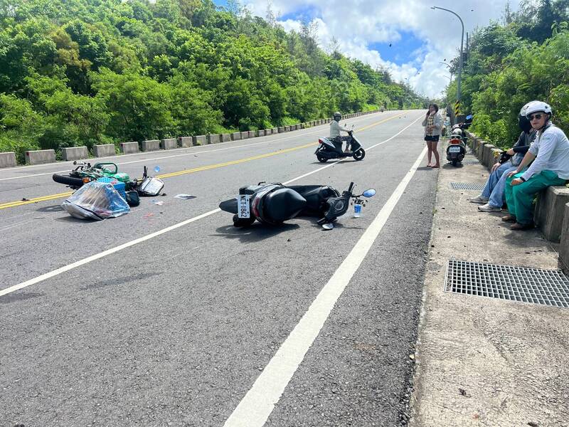 墾丁紫斑蝶爆發「如海浪」 騎士突減速遭追撞