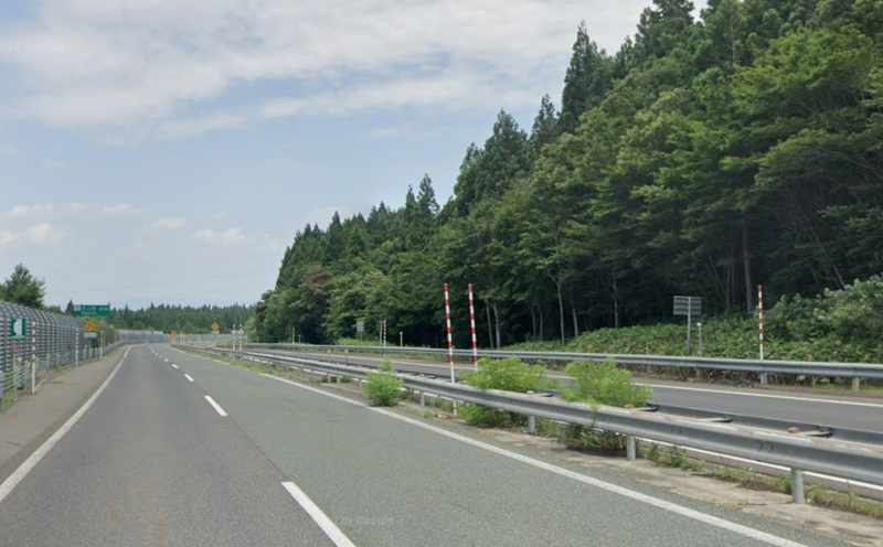 日本岩手縣高速公路驚見熊隻 停止車輛通行