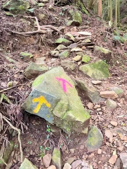 苗栗加里山步道遭噴漆亂畫 山友批「比扯鈴還扯」