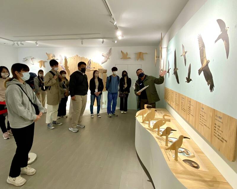 暑假衝一波!鰲鼓濕地夏日飛行日記登場 看小燕鷗、燕鴴萌翻今夏