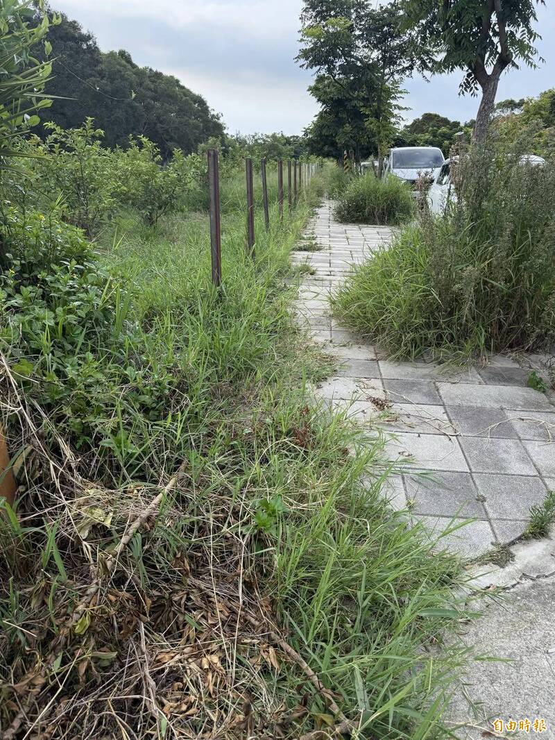 竹市青青草原變荒涼 民眾感嘆:不用4年搞爛一座城市