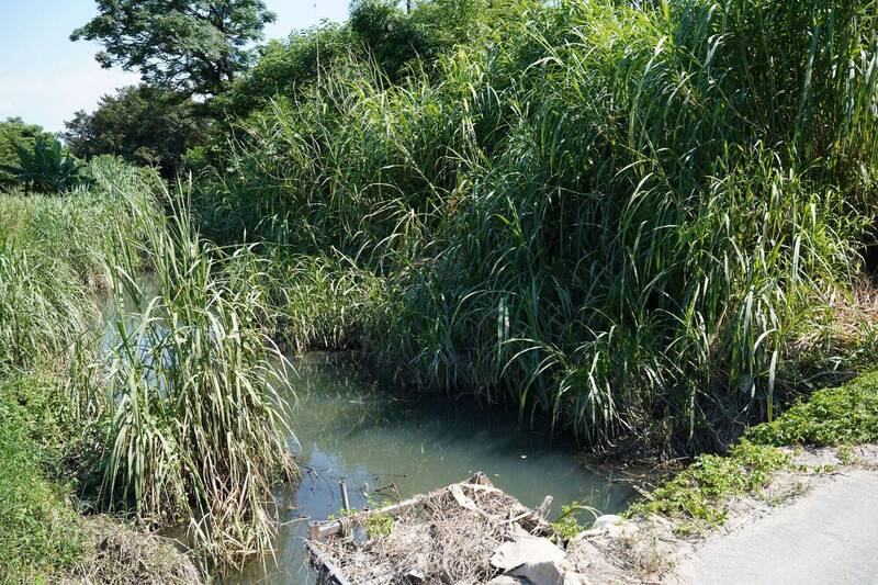 巴威來襲清疏河道防淹 竹縣擬自治法規納管「其他排水」