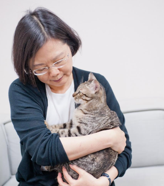 就他打人問「你知道我媽是誰?」還不會被討厭 釣出蔡英文認證