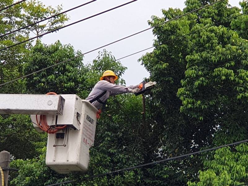 台電屏東區處全面啟動防颱整備，包含預防性樹修、變電所礙子清洗及纜線器材整備等作業項目。（圖由台電屏東區處提供）