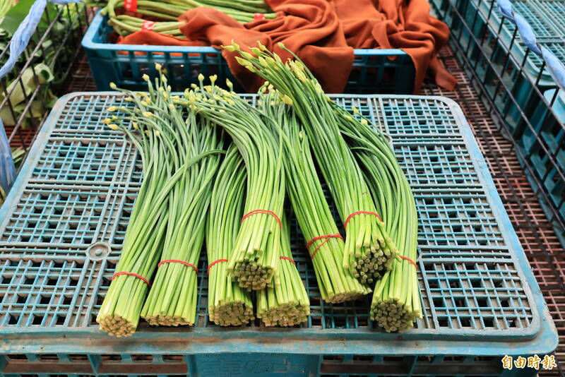 巴威逼近!彰化蔬菜搶收 到貨量、菜價雙雙攀升1成