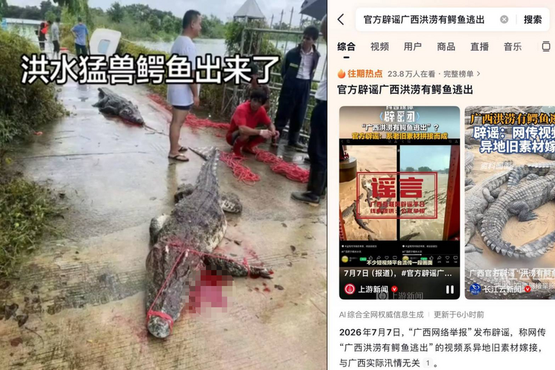 廣西洪災「有鱷魚逃出」是假消息? 災民分享「警槍殺2隻」影片