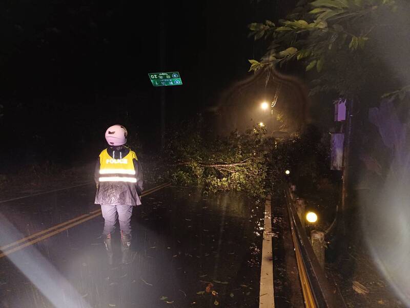 石碇強風豪雨釀路樹連根拔起 北宜路凌晨一度受阻