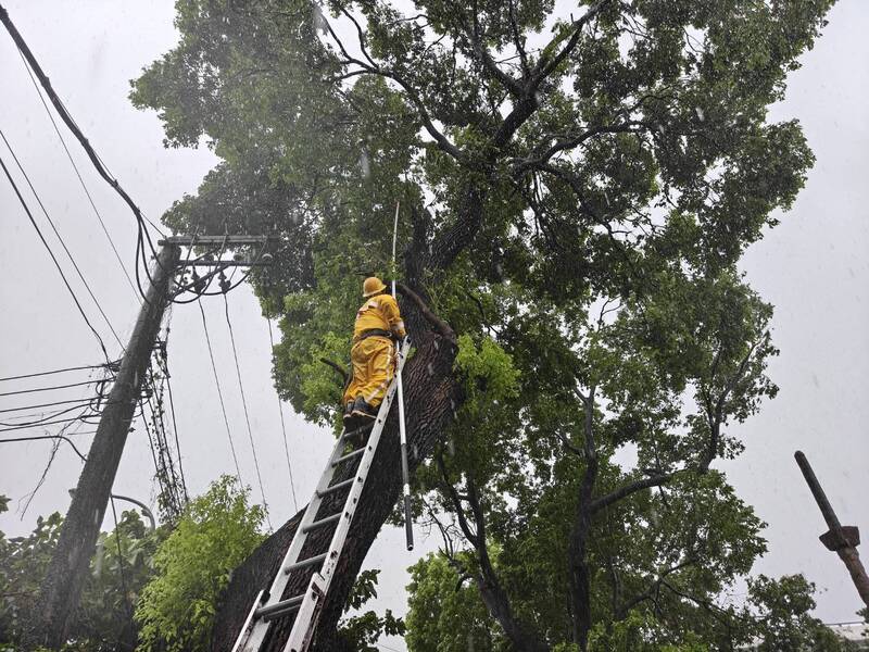 巴威來襲士林、北投、淡水停電逾3000戶 台電緊急派員搶修