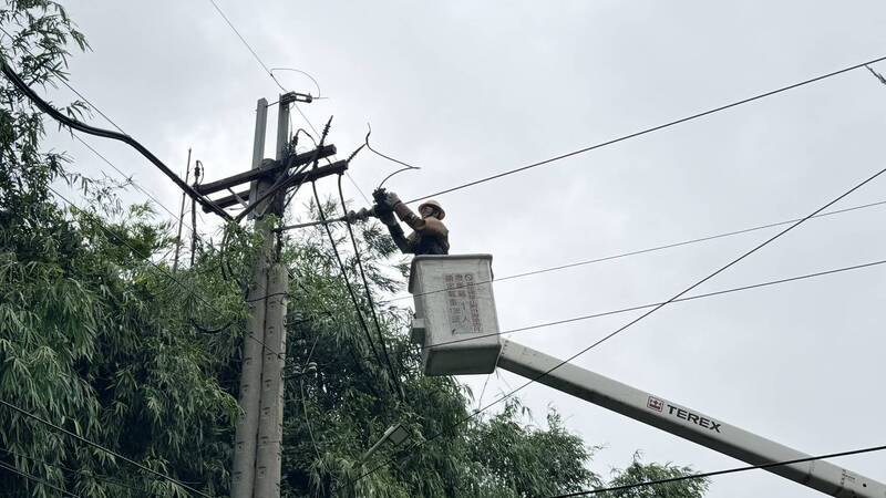 巴威颱風強風吹倒路樹台中2.3萬戶停電 尚3181戶未復電