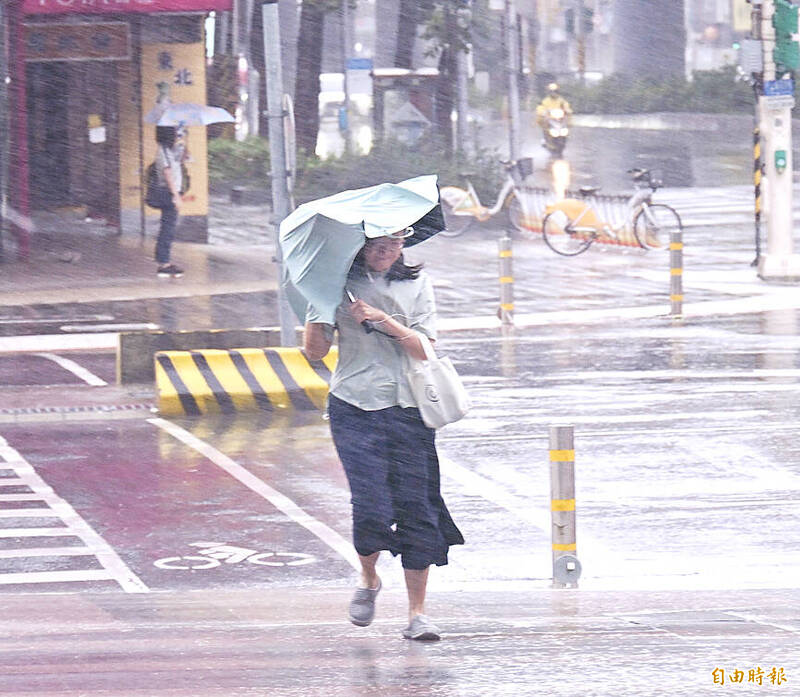 A person struggles with her umbrella on a Taipei street as Typhoon Bavi batters Taiwan yesterday.
Photo: Fang Pin-chao, Taipei Times