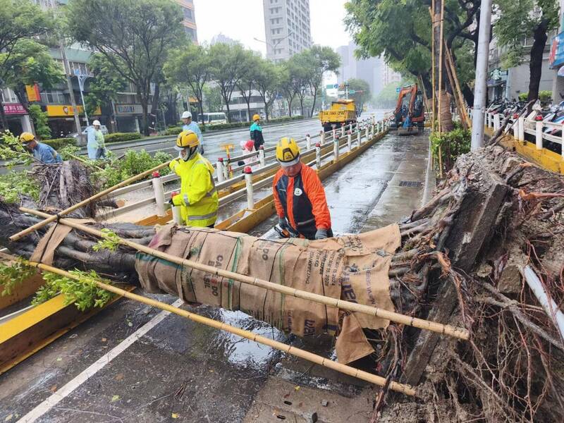 網傳為敵軍無人機偵察砍樹 北市府:扭曲事實