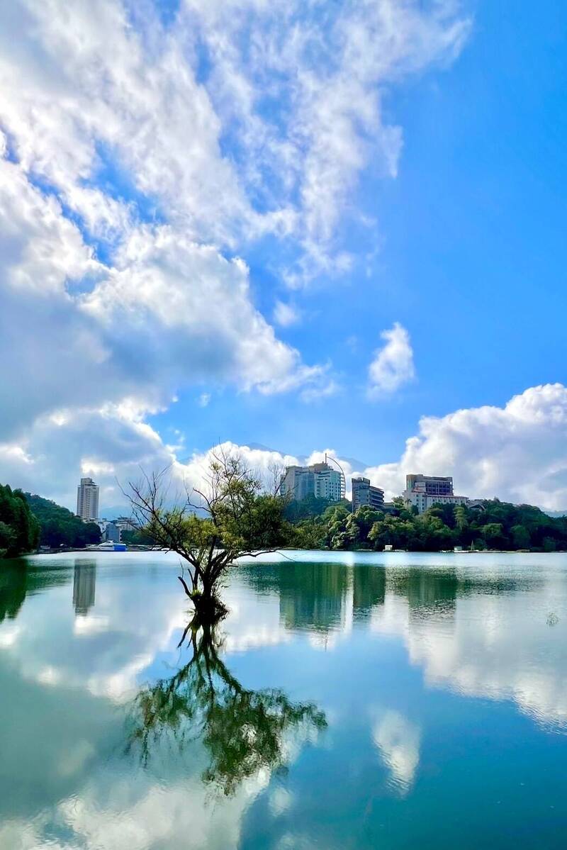 日月潭水量高時,「台版孤獨樹」倒映水面,十分美麗。(民眾提供)