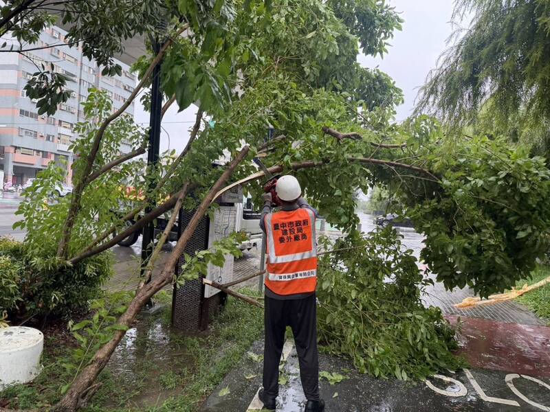巴威發威 台中通報355件災情逾8成路樹傾倒 今全復原