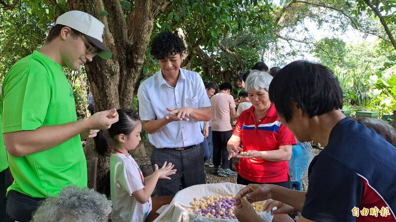 桃園夏令營前進友善農場食農教育 三代攜手搓湯圓共學