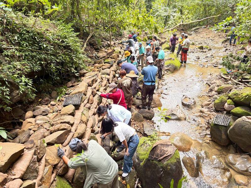 逾百毫米豪雨襲美濃 近自然護岸零位移展現工法韌性