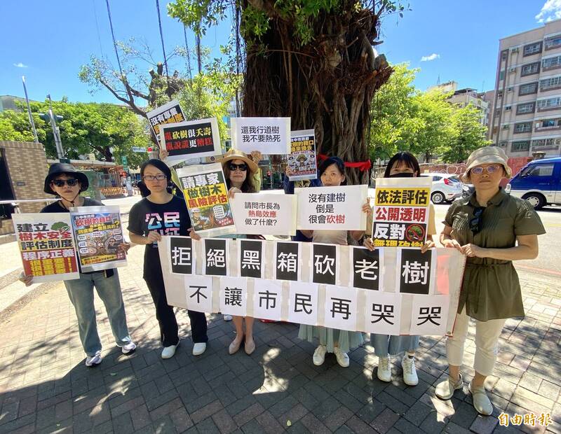 台中西區居民與護樹團體抗議老榕遭大幅「斷頭修剪」。（記者黃旭磊攝）